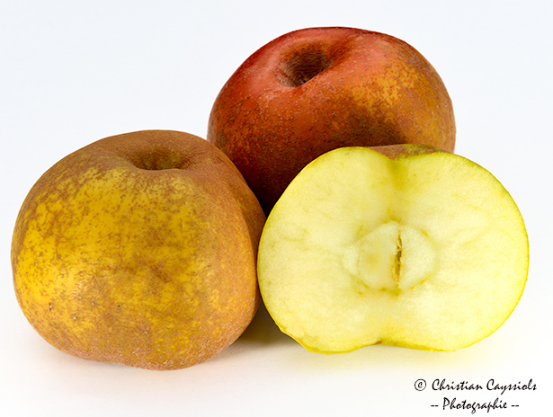 Pomme reinette