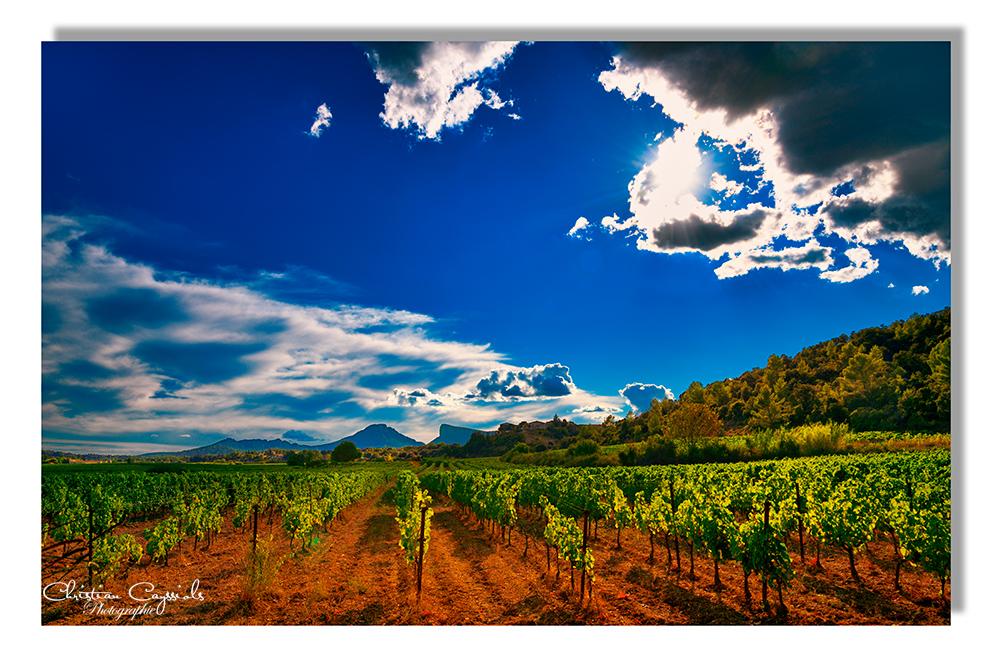 Psl vignes nuages ciel bleu