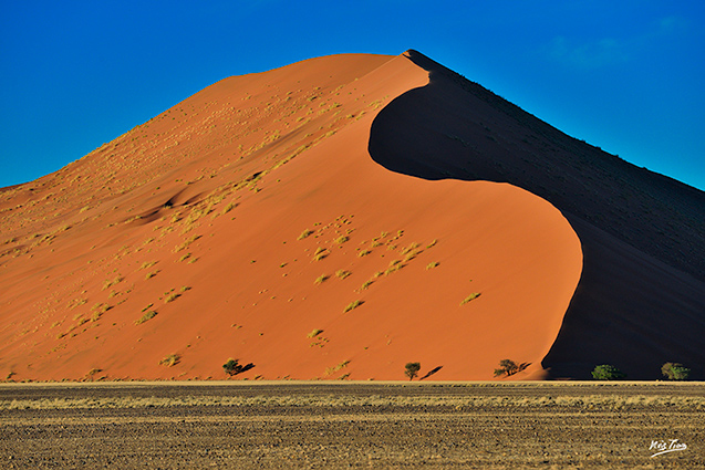 Dunes-de-Namibie