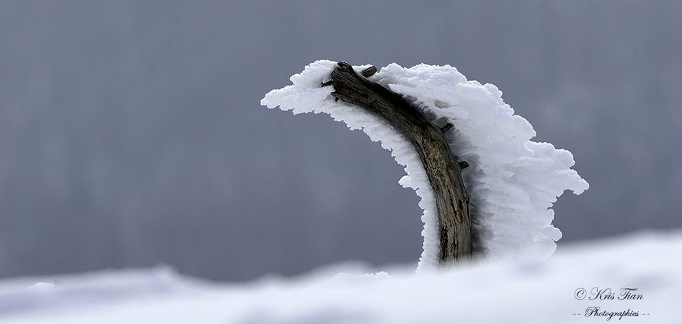 Aigoual blizzard