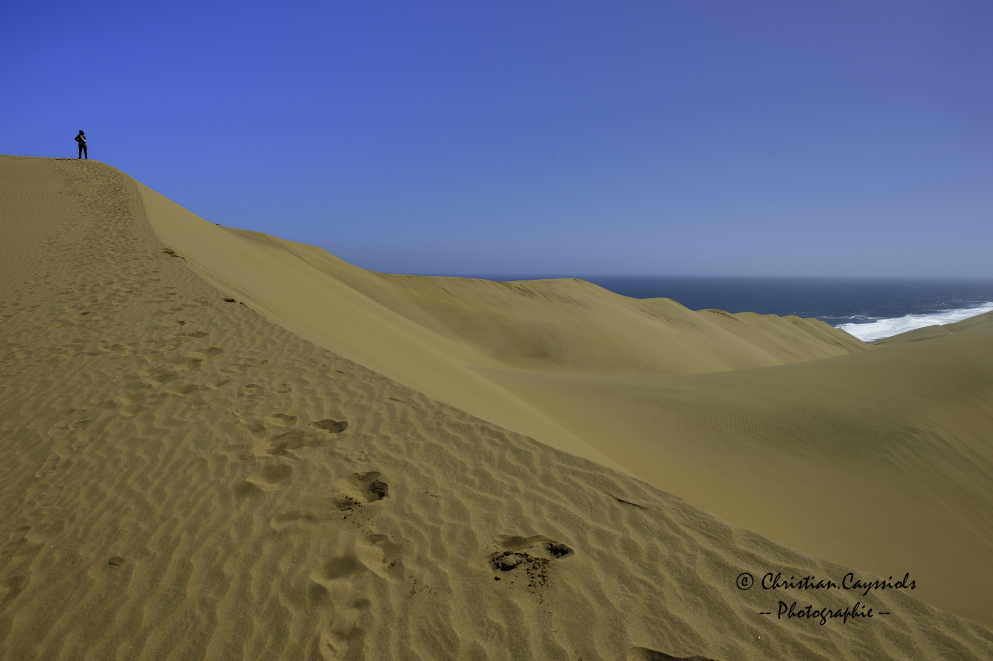 Dune du Namib plongeant dans l'océan