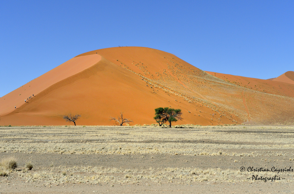 Dune du Namib