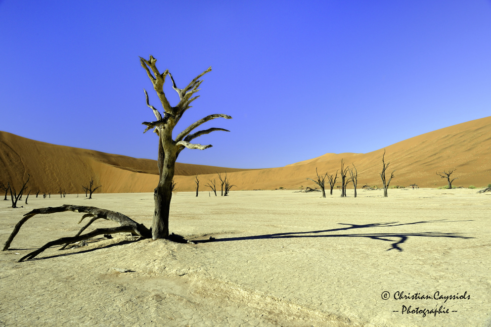 La dune 9 et les arbres morts de Dead Vlei.